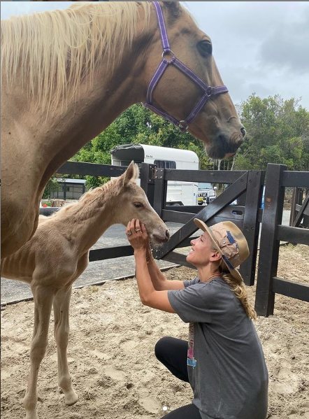 Elsa Pataky jugueteando con un potrillo/ Foto: Instagram