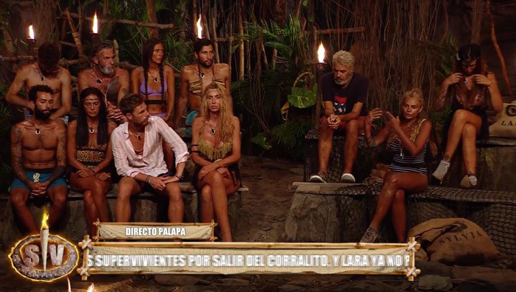 Los concursantes de 'Supervivientes 2021 en directo en Palapa | Foto: Telecinco