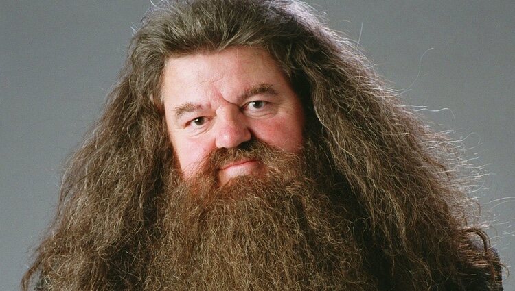 Robbie Coltrane como Hagrid