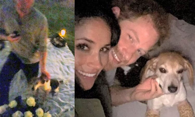 Harry y Meghan dándose un beso durante su paso por el campo