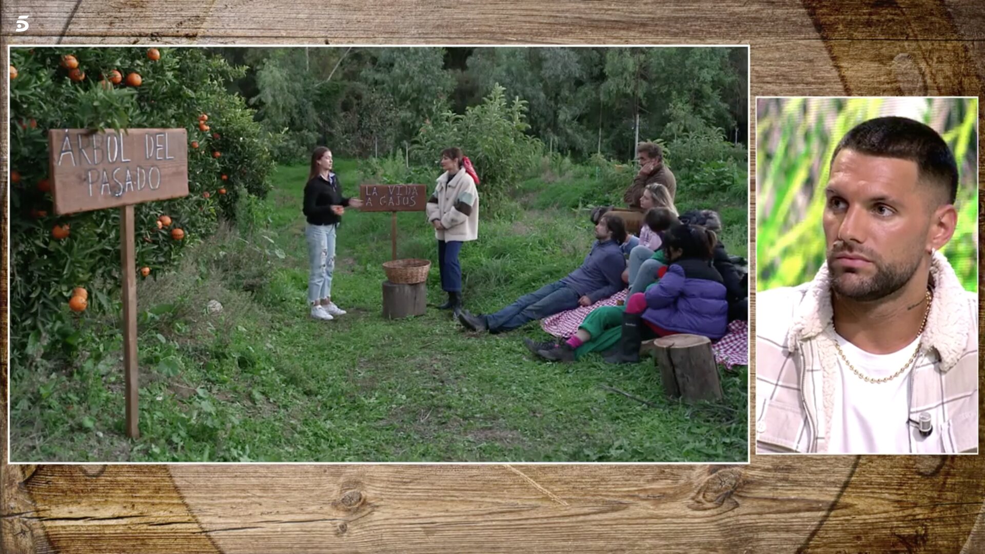 Los concursantes se sometieron al árbol de la vida / Foto: Telecinco.es