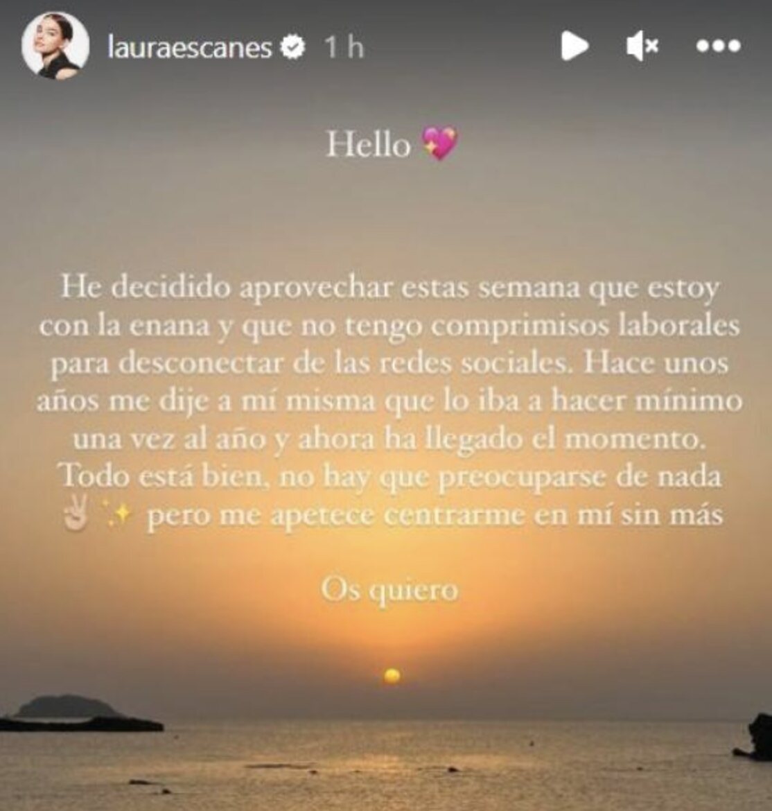 El comunicado de Laura Escanes/ Foto: Instagram