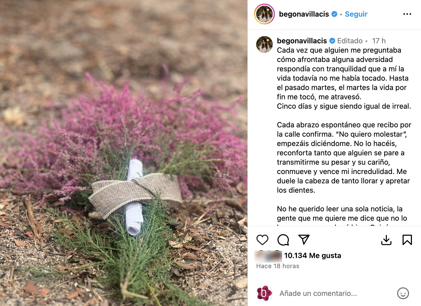 Begoña Villacís llora la muerte de su hermano una semana después de su asesinato | Foto: Instagram