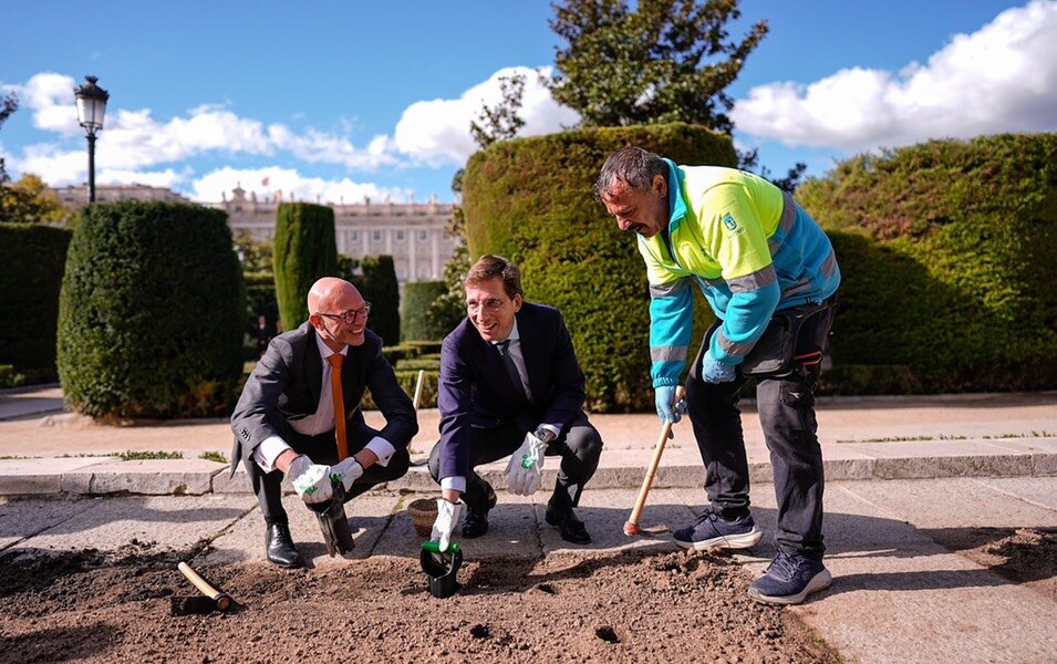 El Alcalde de Madrid y el Embajador de Países Bajos plantando tulipanes en la Plaza de Oriente