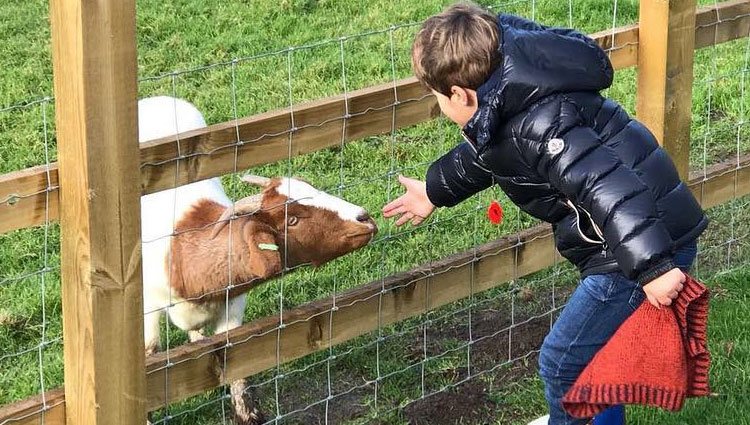 Francisco, el hijo de Kiko Rivera, jugando con un animal / Fuente: Instagram