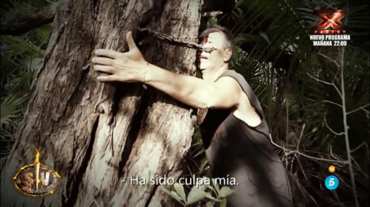 El Maestro Joao se disculpa con el árbol que le lesionó | telecinco.es