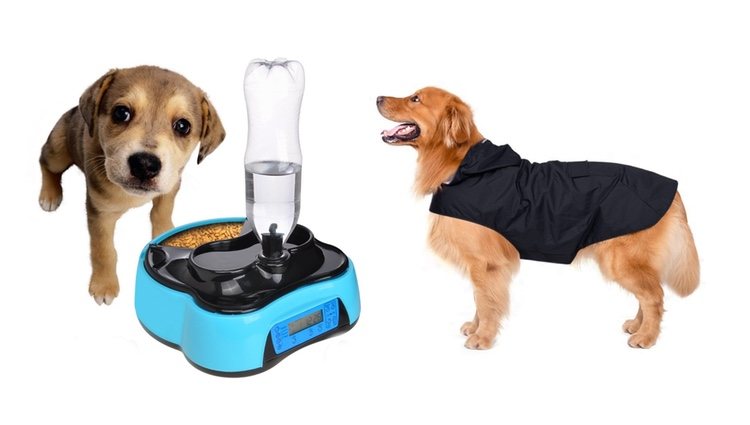 Comedero automático e impermeable para perros