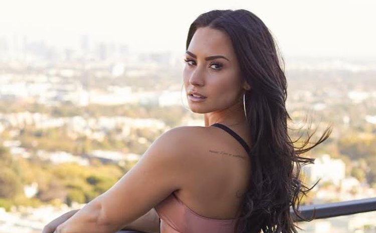 Una de las fotografías que Demi Lovato compartió desde su casa / Foto: Instagram