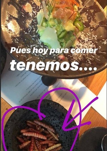 Los platos que ha comido Eva González/ Foto: Instagram