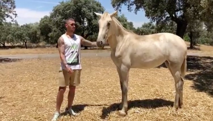 Sergio Ramos mirando yeguas para una de sus fincas | Foto: Instagram Sergio Ramos