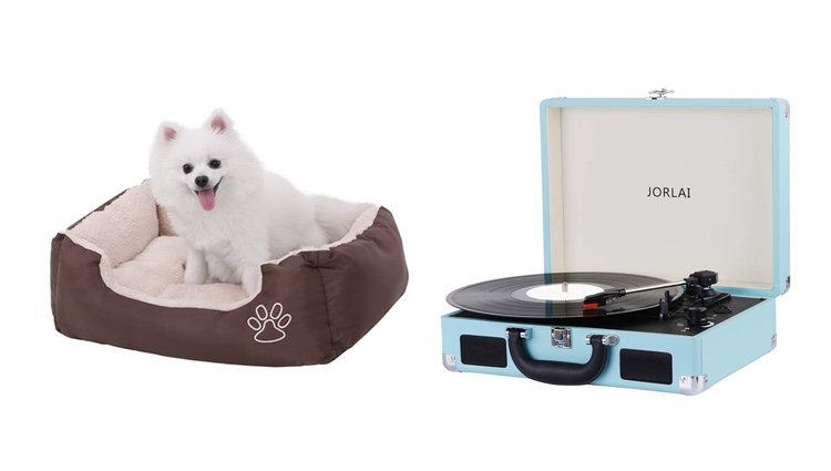 Cama para mascotas y tocadiscos