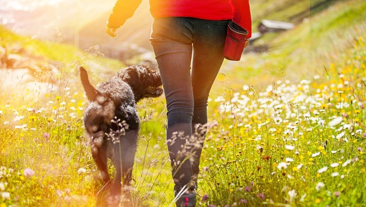 Salir a pasear o hacer algún deporte puede venirte bien