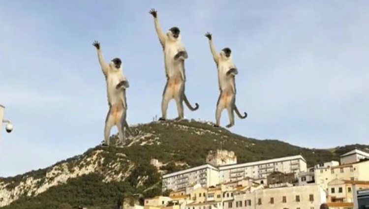 Paula Echevarría enseña el Peñón de Gibraltar / Foto: Instagram