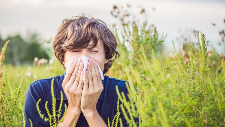 Aries sentirá los síntomas de la alergia