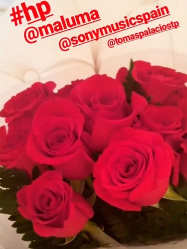 El ramo de flores que Maluma le ha enviado a Paula Echevarría/ Foto: Instagram