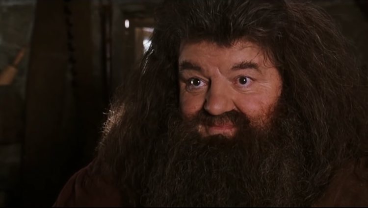 Robbie Coltrane en 'Harry Potter'