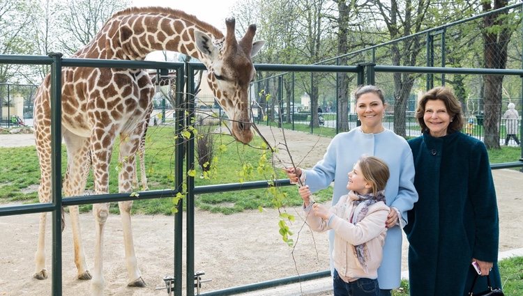 Silvia, Victoria y Estela de Suecia en el zoo de Viena | Foto: Daniel Zupanc/Facebook