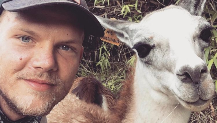 Selfie de Avicii con una llama / Instagram