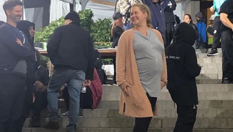 Amy Schumer en su paso por la Met Gala 2019 / Foto: Instagram