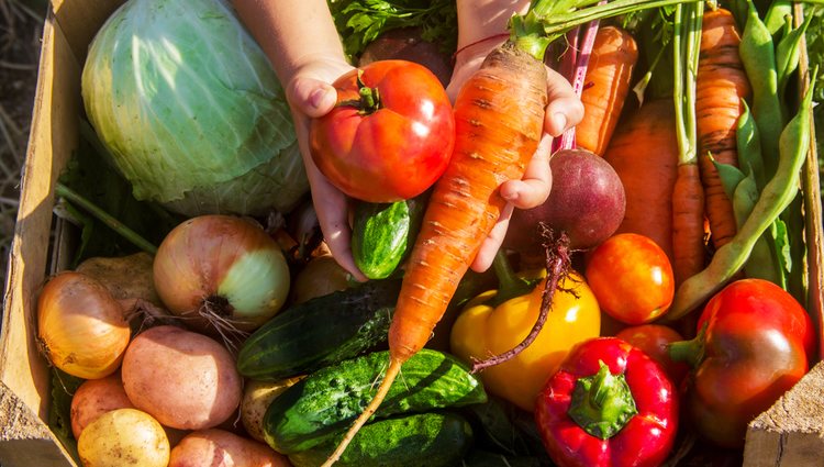 Tendrá que cambiar sus hábitos alimenticios