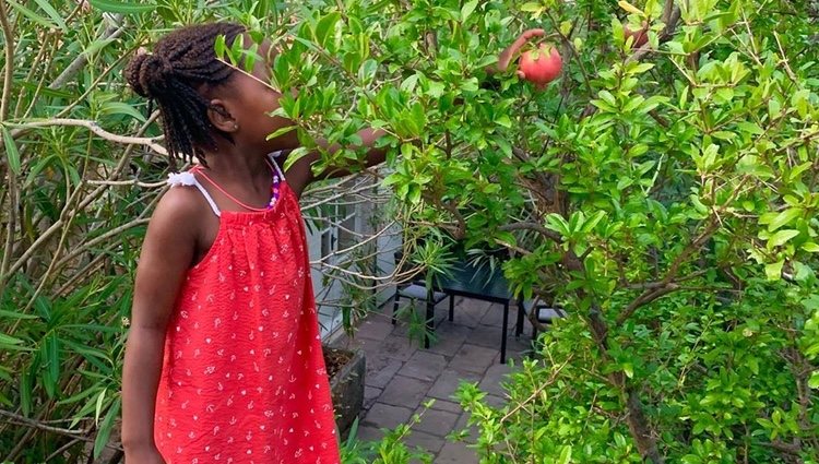 Jackson, la hija de Charlize Theron, cogiendo manzanas en sus vacaciones Foto: Instagram @charlizeafrica