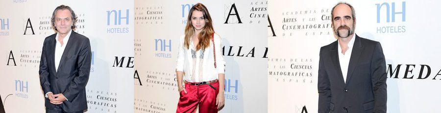 Luis Tosar, Ana de Armas y José Coronado arropan a Manuel Gutiérrez Aragón en la entrega de la Medalla de Oro