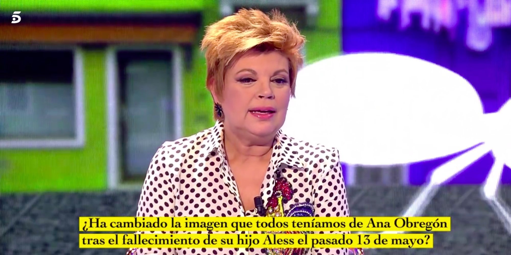 Terelu Campos cuenta cómo se encuentra Ana Obregón: "Hay días que no se puede levantar. Está sobreviviendo"