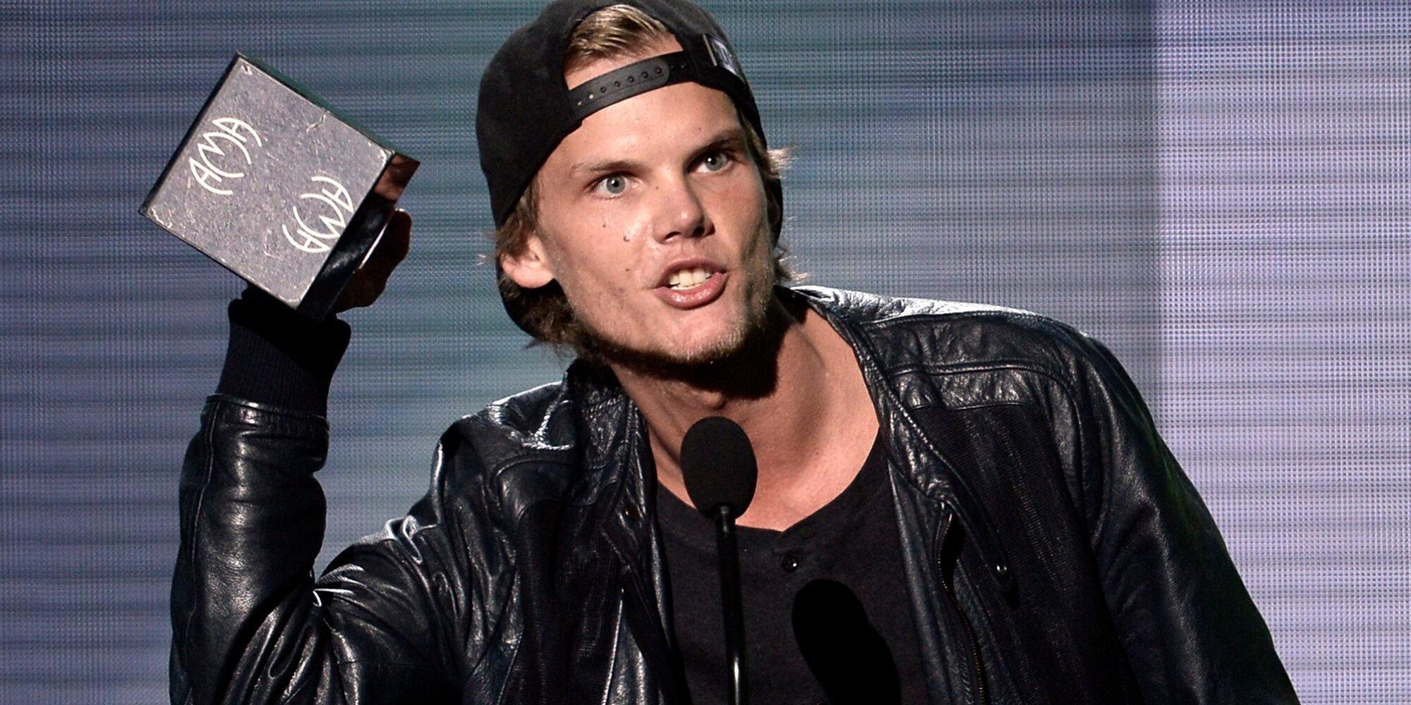 Las inquietantes anotaciones del diario de Avicii antes de su fallecimiento