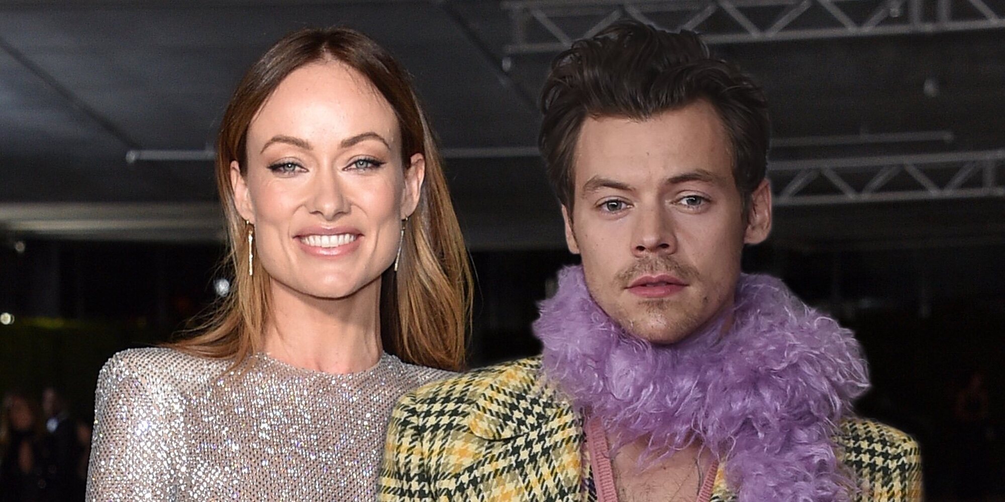 Harry Styles y Olivia Wilde rompen tras dos años juntos