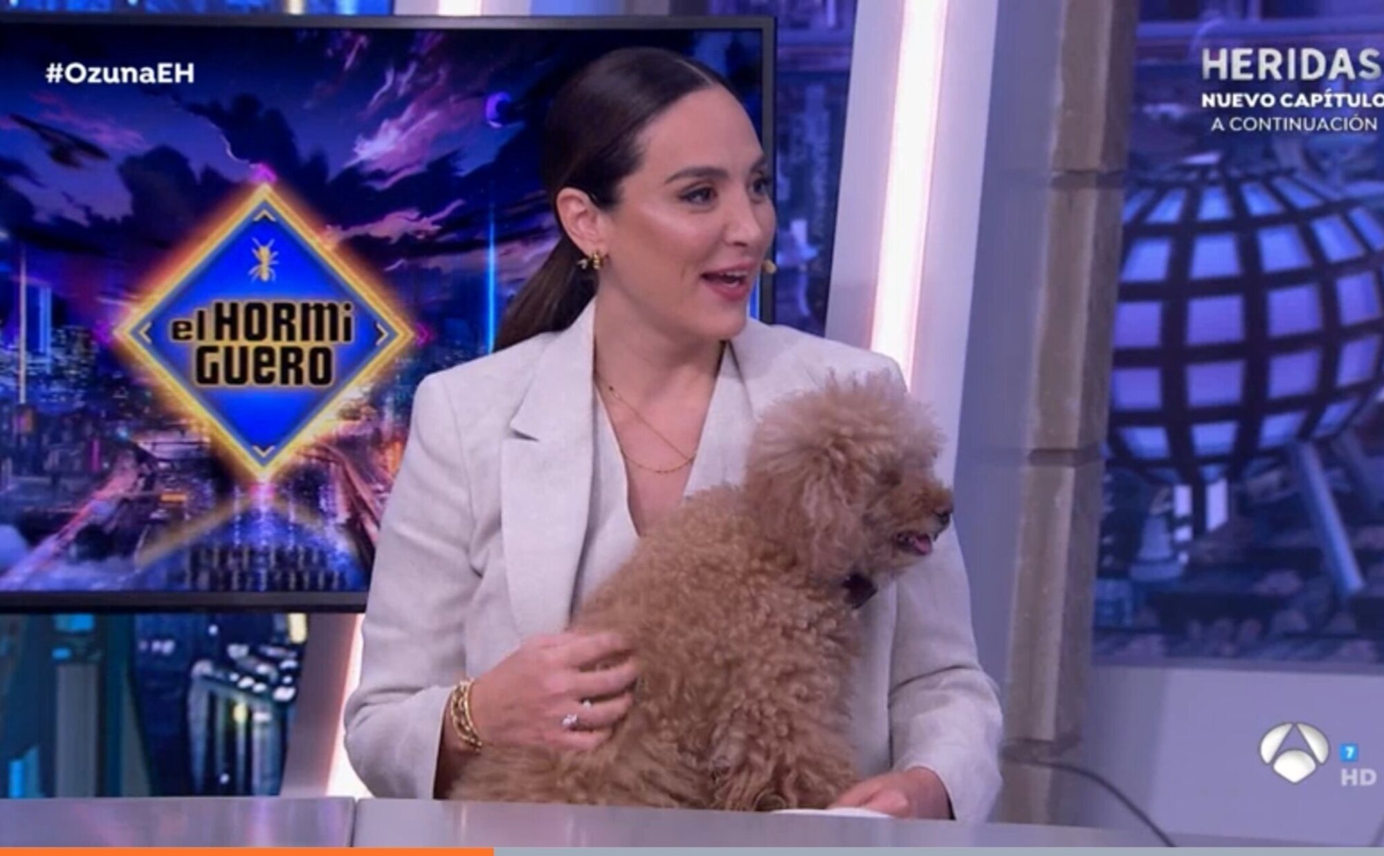 Tamara Falcó explica por qué acudió a 'El Hormiguero' con muletas