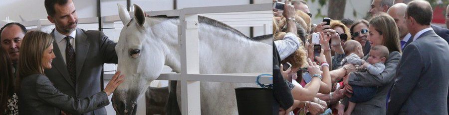 Los Reyes Felipe y Letizia se rodean de animales en la Feria Internacional Ganadera de Zafra