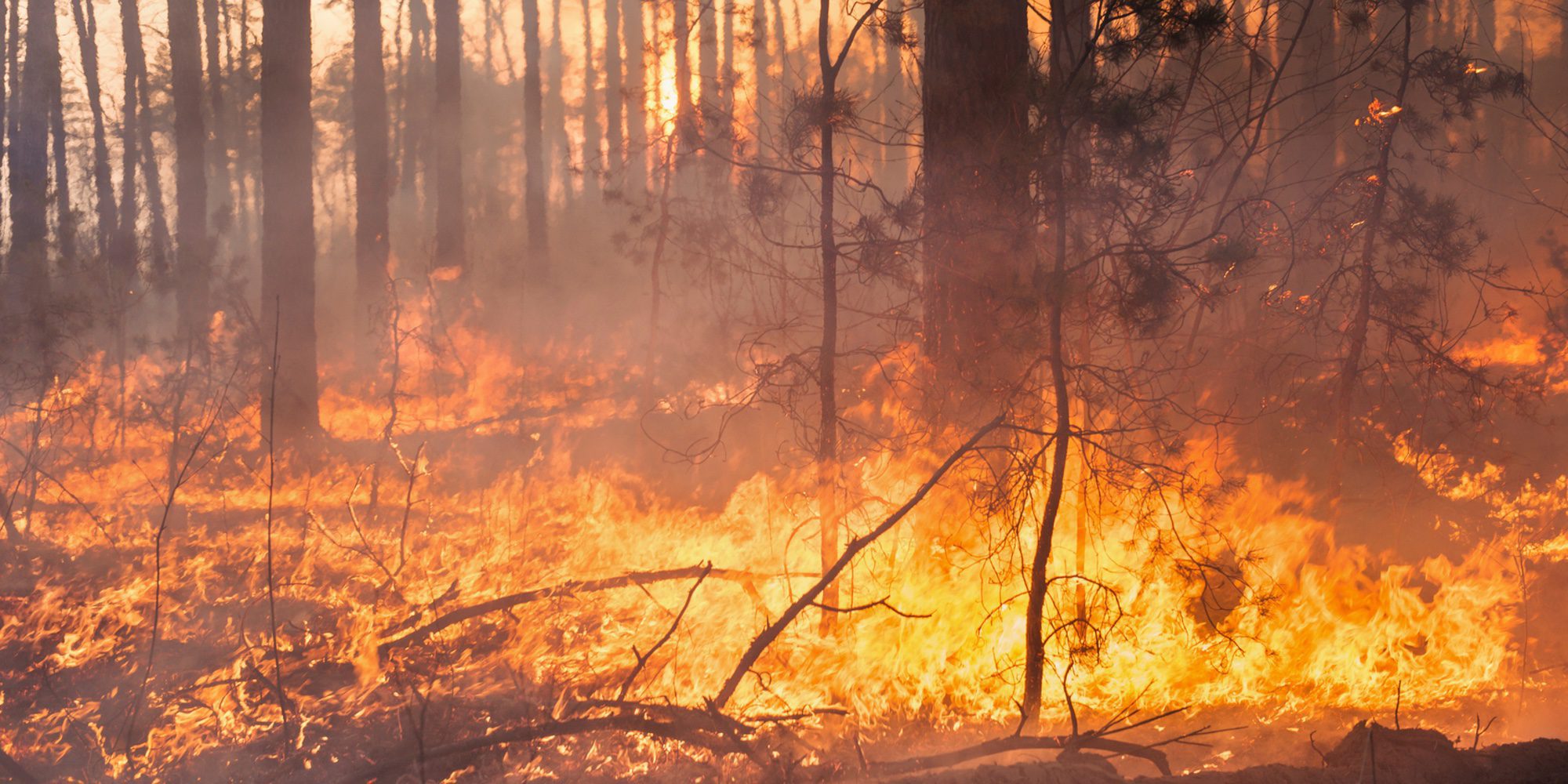 La dramática historia de la mujer que incendiaba los montes gallegos con velas aromáticas: "Era conflictiva"