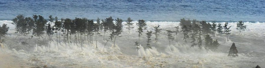 11 de marzo: Primer aniversario del terremoto y el tsunami que arrasó Japón