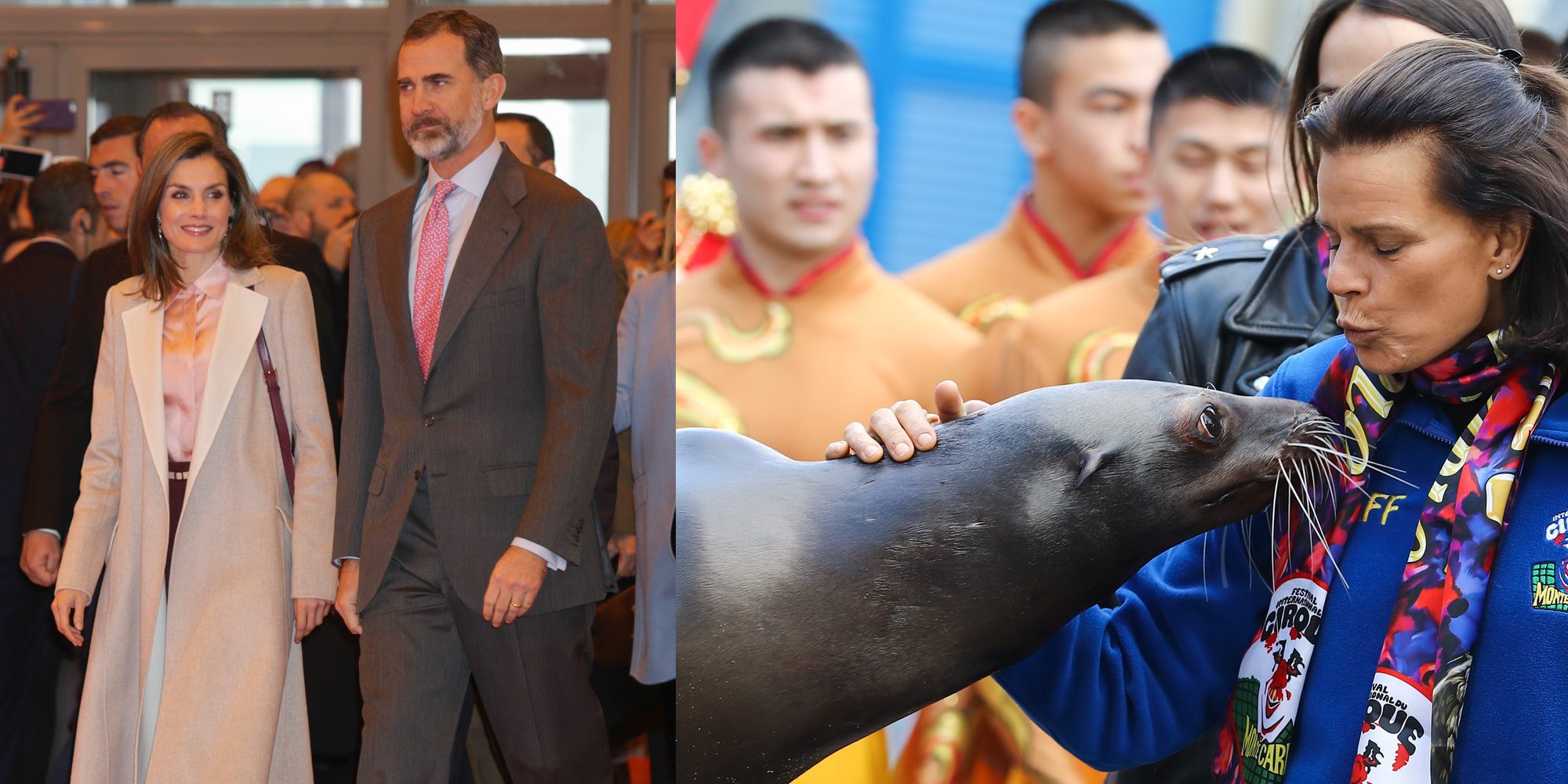 Del estilo de la Reina Letizia en Fitur al beso de Estefanía de Mónaco a una foca en el circo