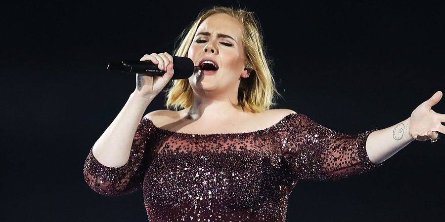 Adele para su concierto de Australia para interesarse por un fan que había sufrido un ataque