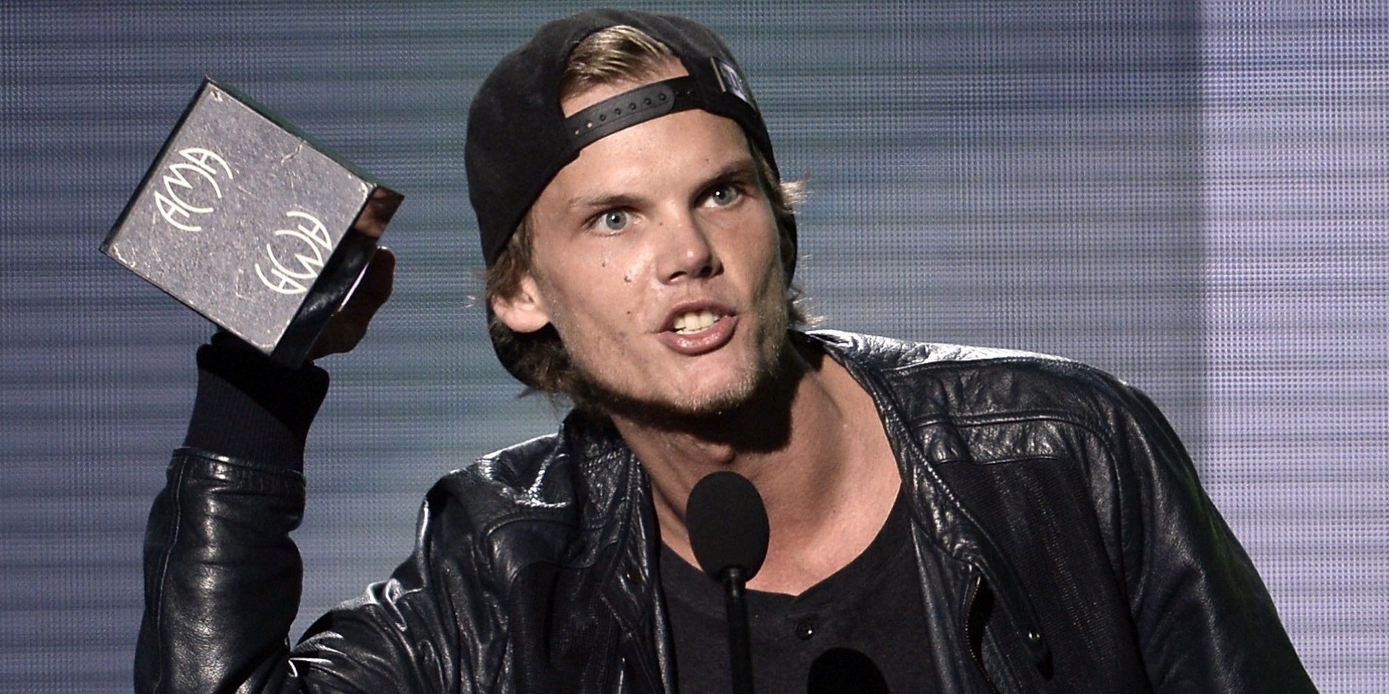 La familia de Avicii desvela que el DJ se suicidó