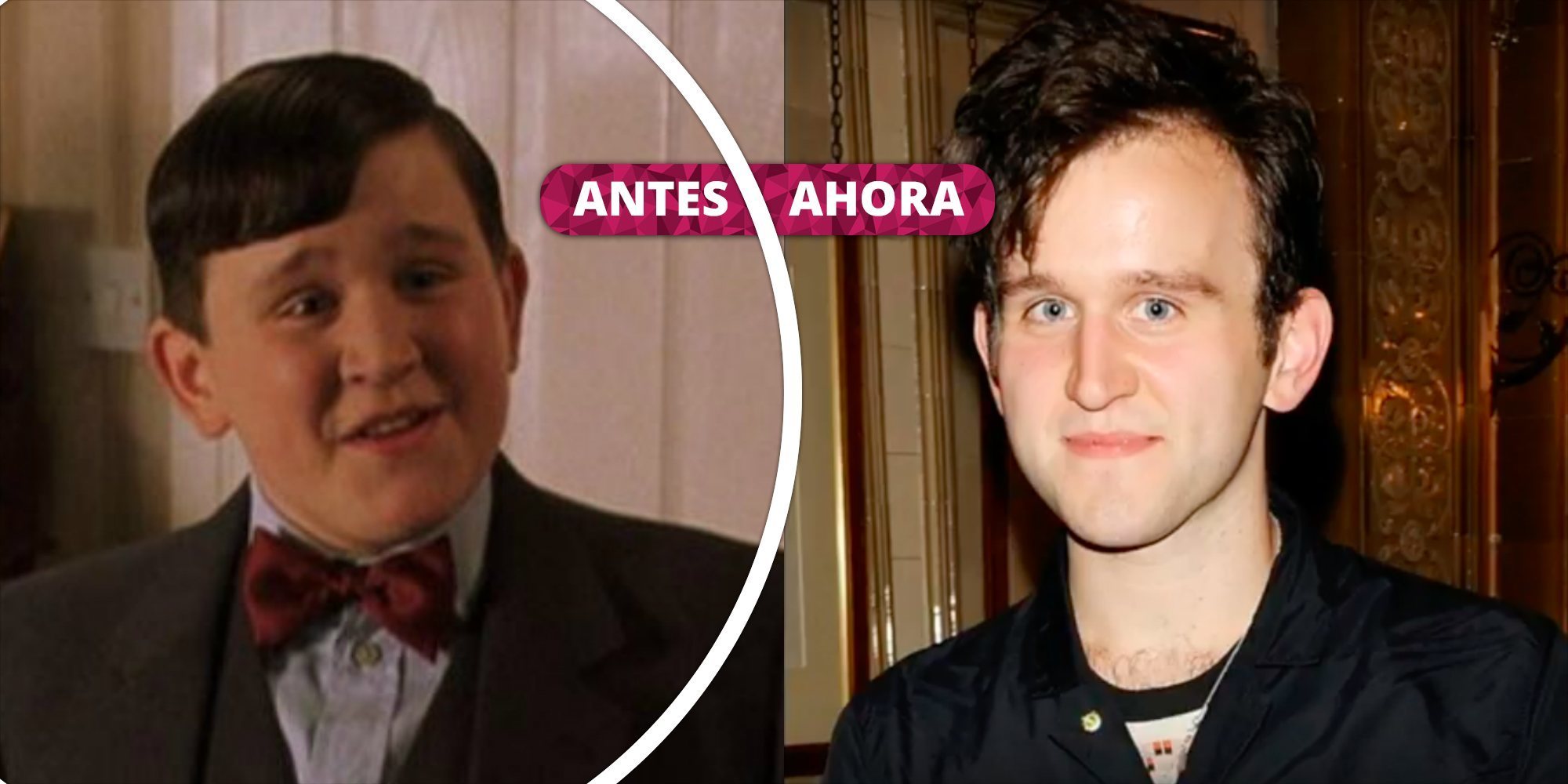 Así ha cambiado Harry Melling: La transformación de Dudley Dursley de la saga 'Harry Potter'