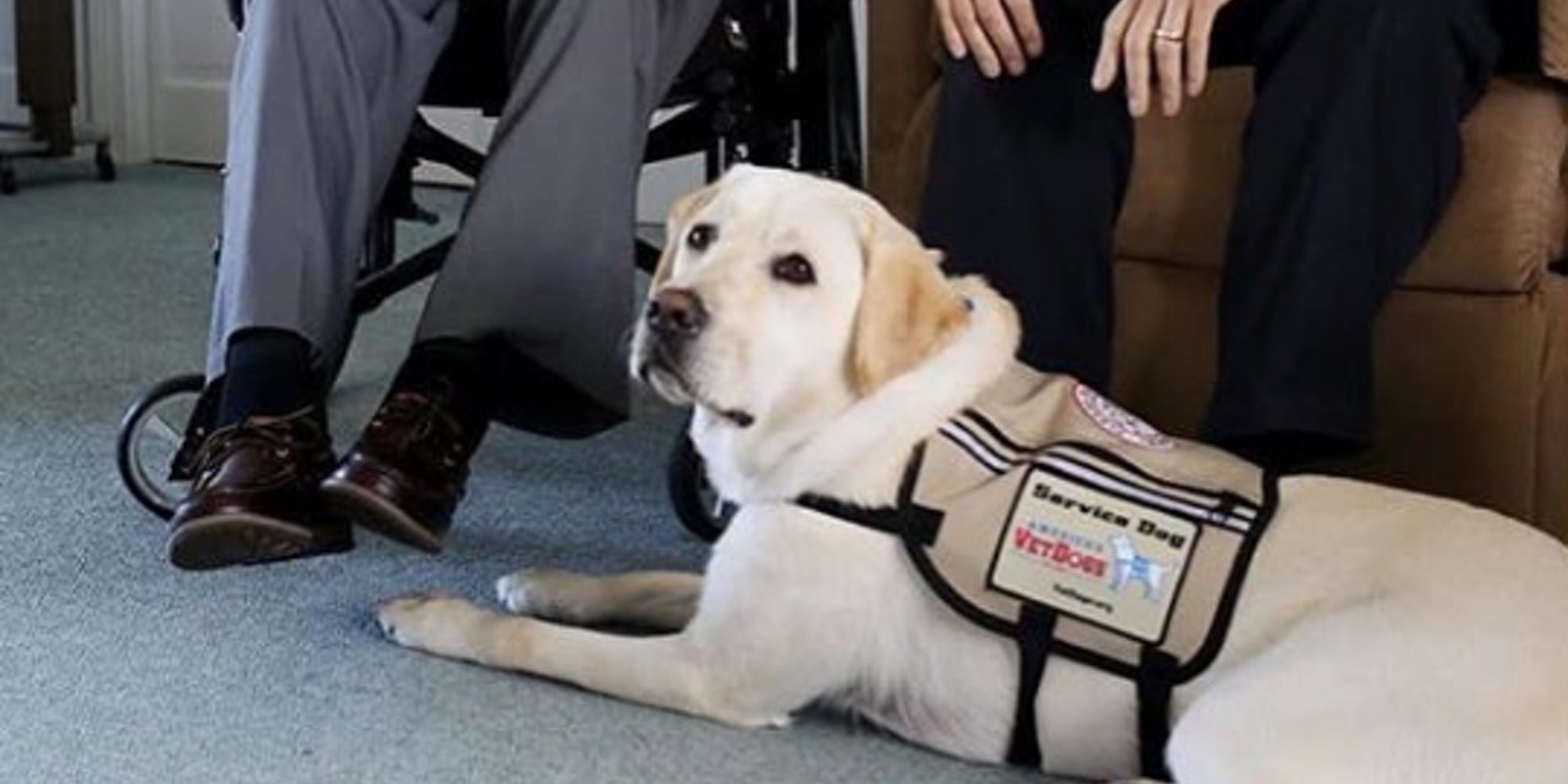 Sully, el labrador que ha seguido acompañado a su dueño George H. W. Bush junto al ataúd