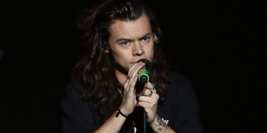 Harry Styles parece haber encontrado de nuevo el amor con otra modelo