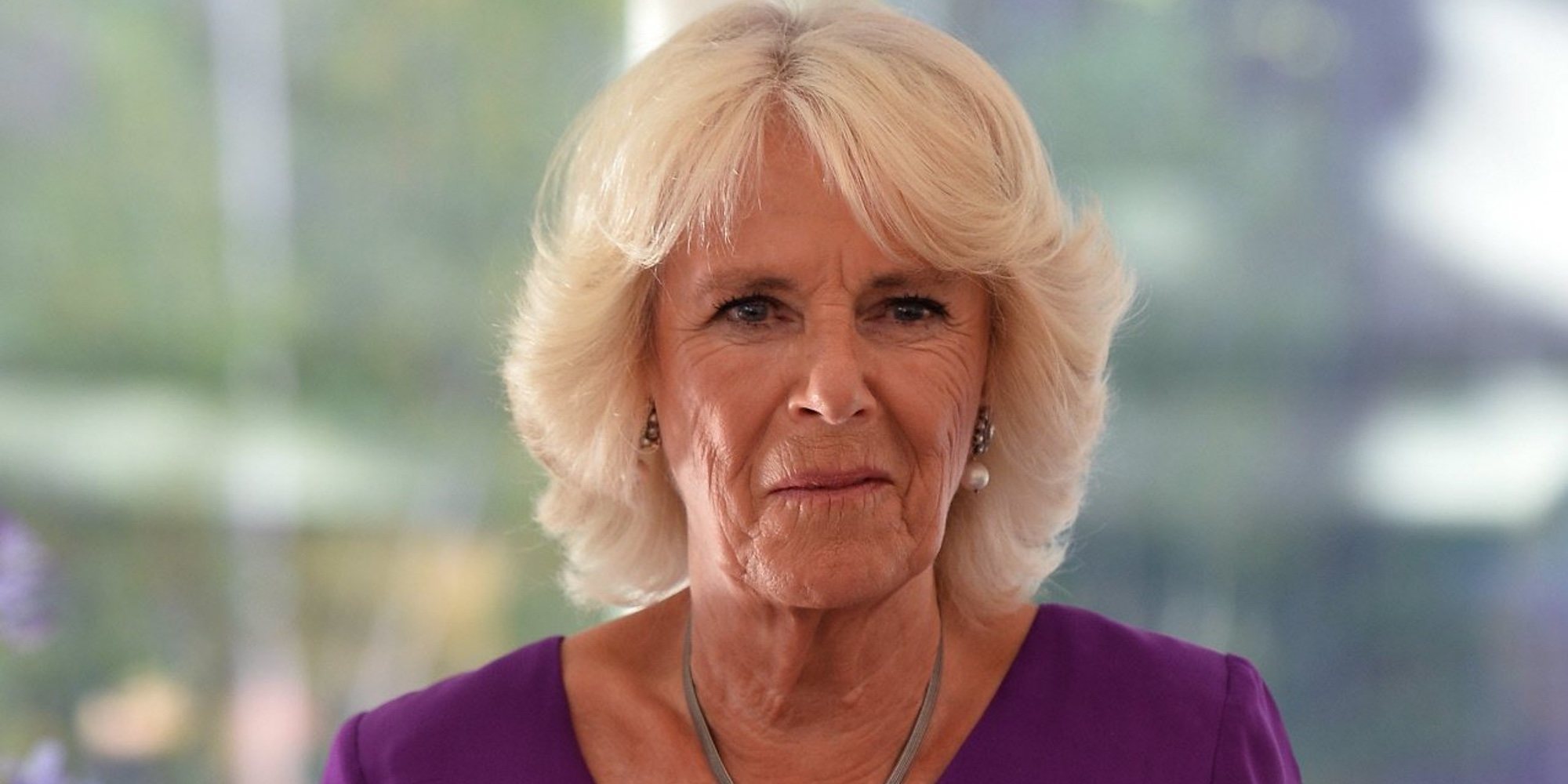 Camilla Parker Bowles pierde la guerra contra un vecino que quiere hacer obras