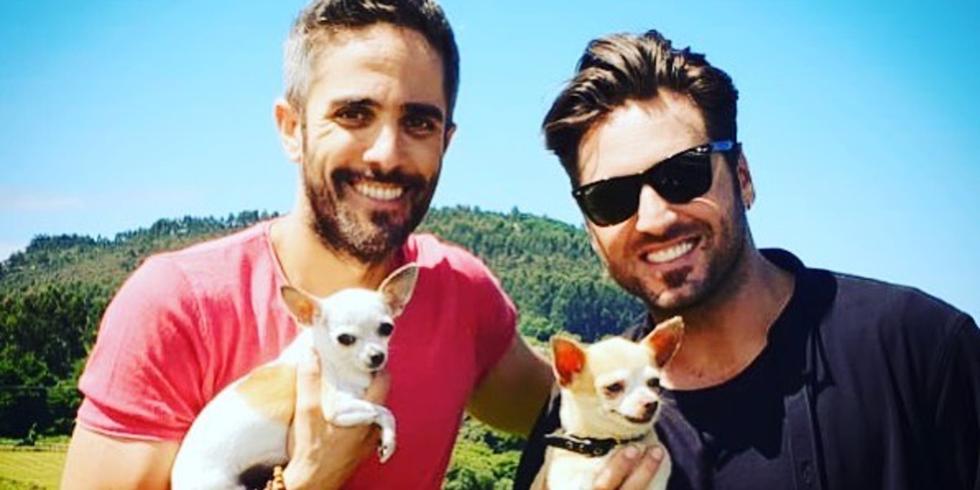 Muere Mogwly, el chihuahua que compartían Paula Echevarría y David Bustamante durante su matrimonio