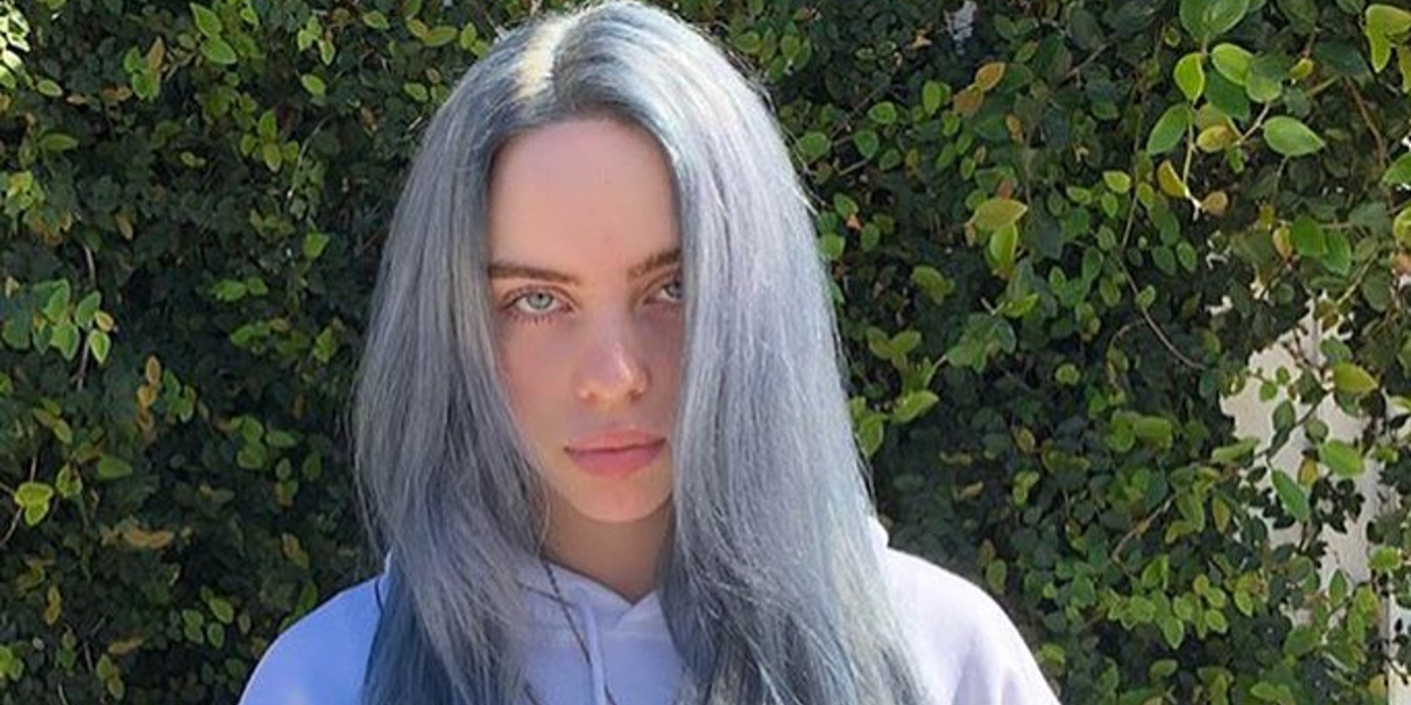 Billie Eilish tiene que interrumpir un concierto por una emergencia médica de un fan