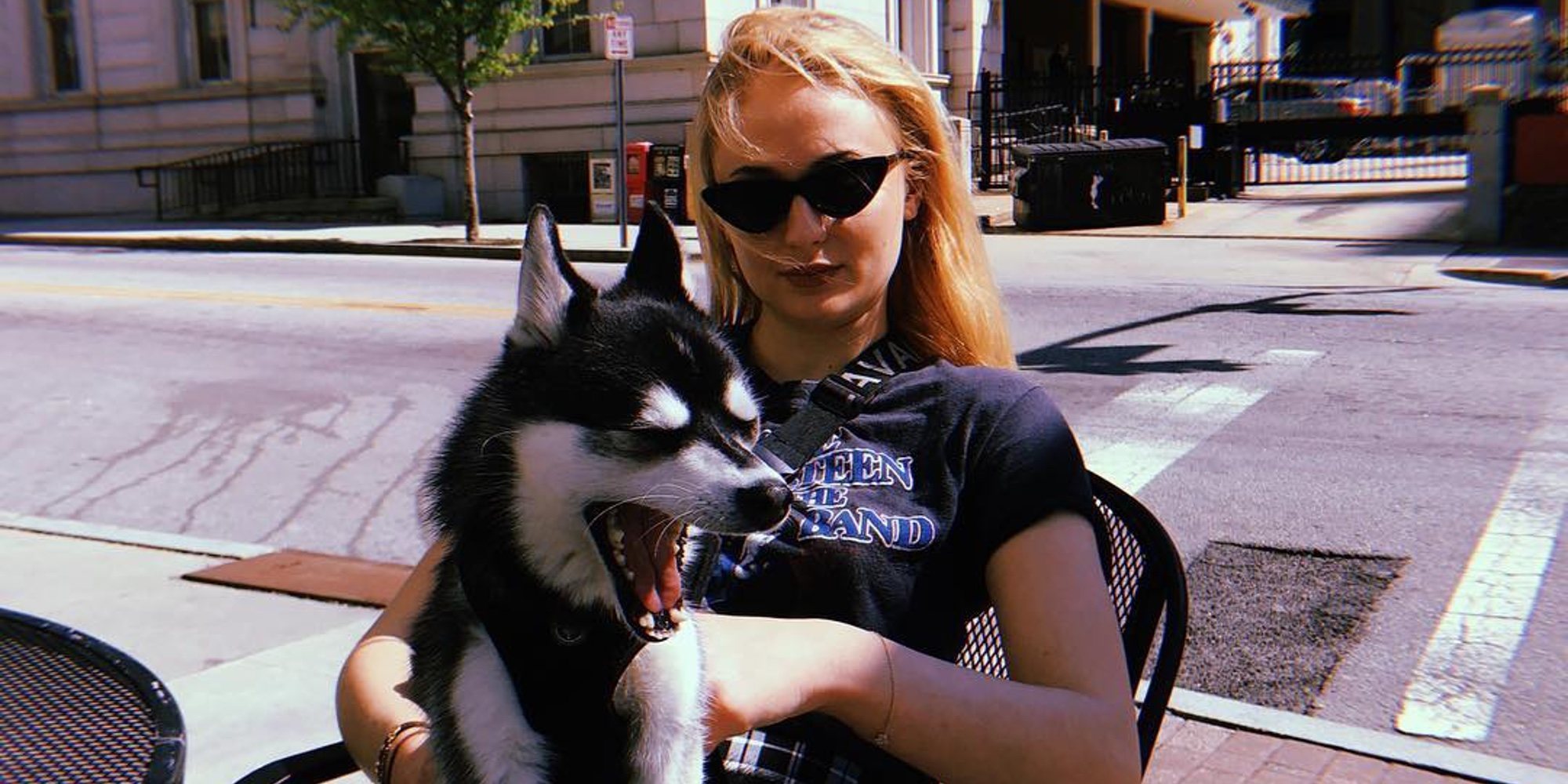 Joe Jonas y Sophie Turner, muy afectados tras la muerte de Waldo, su pequeño cachorro