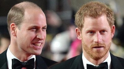 Los Príncipe Harry y Guillermo, también en desacuerdo por un homenaje a su madre, Lady Di