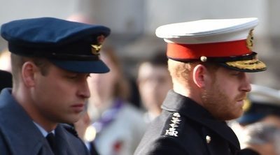 Los Príncipes Guillermo y Harry, acusados de transacciones ilegales entre sus fundaciones