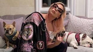 Aparecen sanos y salvos los perros robados de Lady Gaga