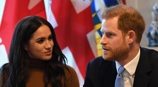 El Príncipe Harry y Meghan Markle 'caen' en la monarquía inglesa situándose junto al Príncipe Andrés