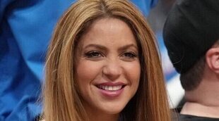 Shakira podría estar con Jimmy Butler y no con Lewis Hamilton