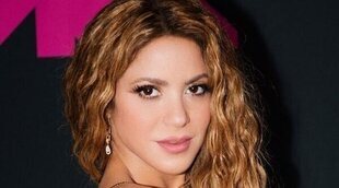 Shakira reflexiona sobre lo mal que lo ha pasado: "Tengo muchas razones para luchar"