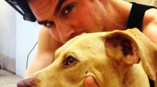 Ian Somerhalder presenta a "su nueva chica": una perrita abandonada